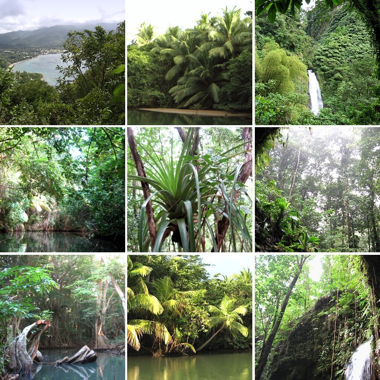 Dominica, güne Insel