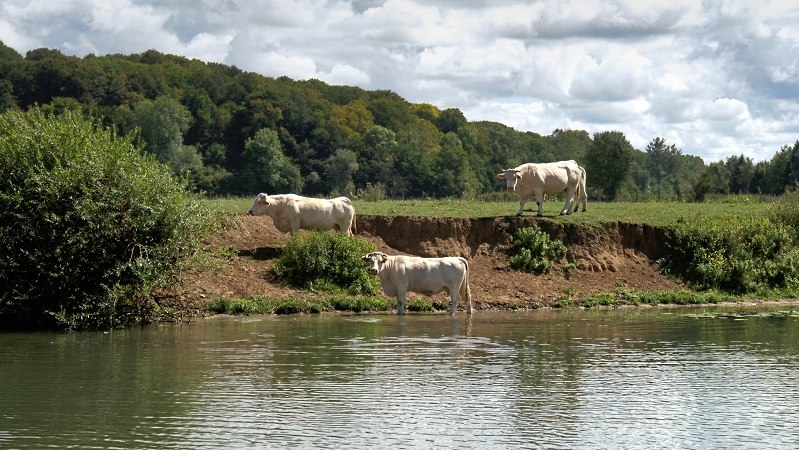 Pastorale